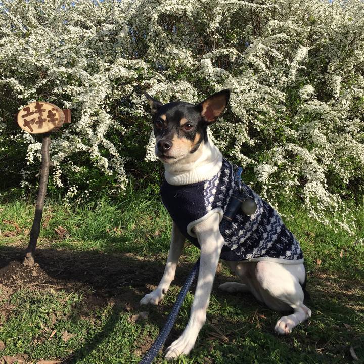 Bd79c247 40a8 4ffb b1ef f694537dd025