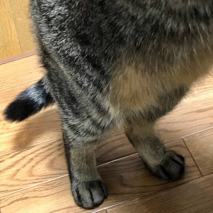 Bd7a53f9 4ce3 4963 b20d 73e0dd33f32d