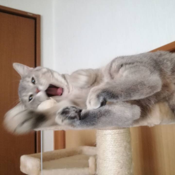 Bd7ab725 e6eb 4b7d 8393 caadaed3ce70