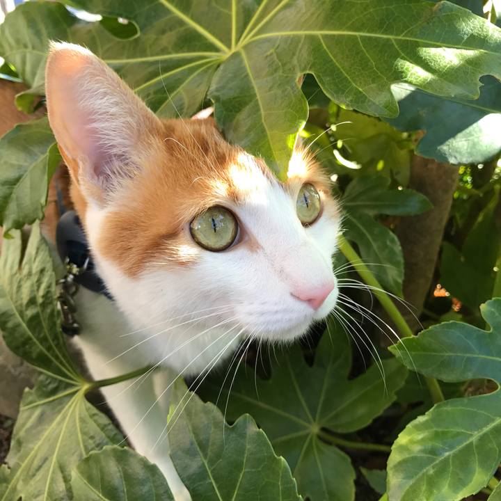 Bd7ae0cf 7786 452f 9eb9 354e000b678b