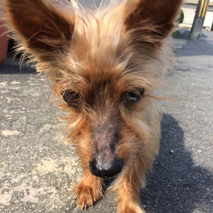 Bd7b1d57 25bf 400c 8306 cbe7ad17371a