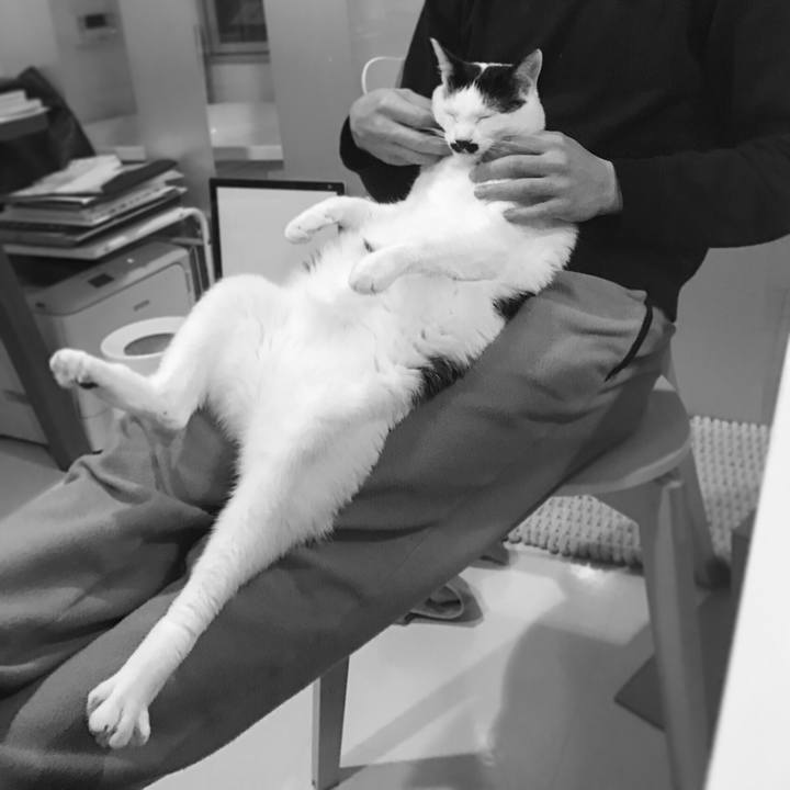 Bd7b4c95 b57f 4e22 bb88 796126833bd2