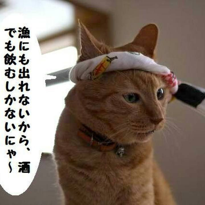 Bd7b796b 4e82 4baf a8be fce94c51ac28