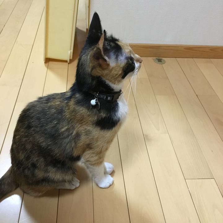 Bd7b9809 81b2 4639 8ef3 be964ffdec16