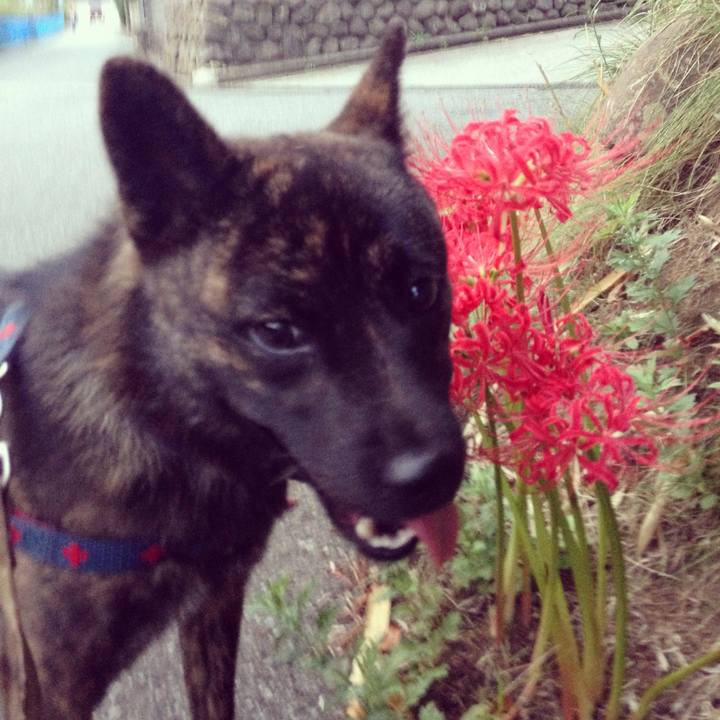 Bd7cad32 72cd 4360 bd98 b45ca38c7622