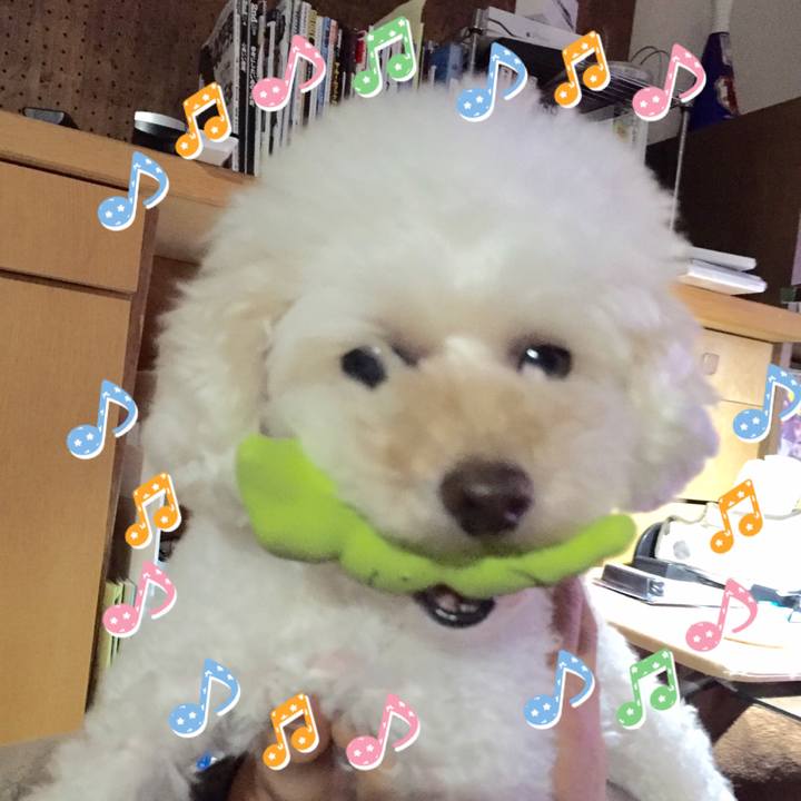 Bd7e0e09 975a 4fac 98bb c4769c82914a