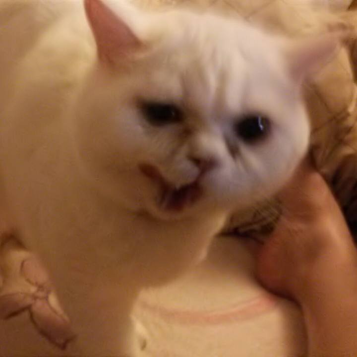 Bd7e8480 f93f 4d18 97f8 b416856df275