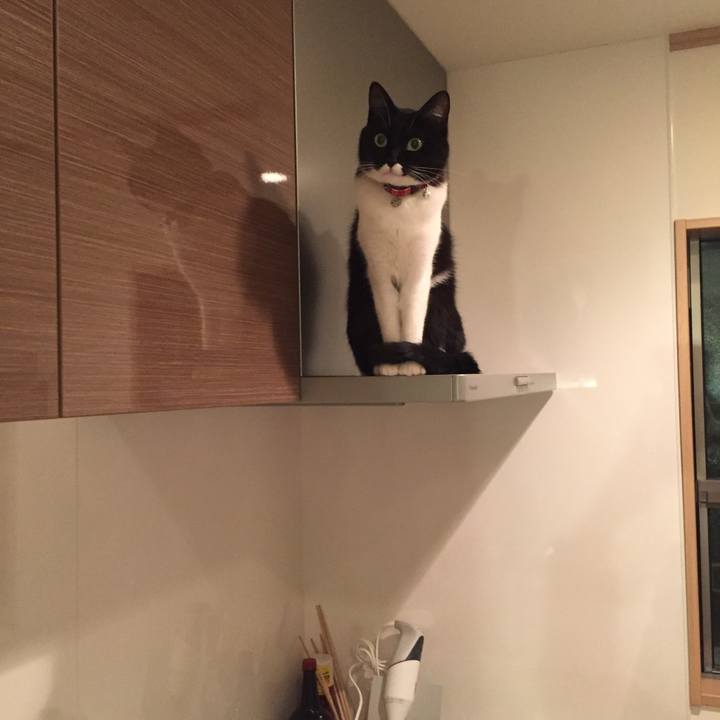 Bd7e9be4 187c 491f 9673 6f120c493d9f