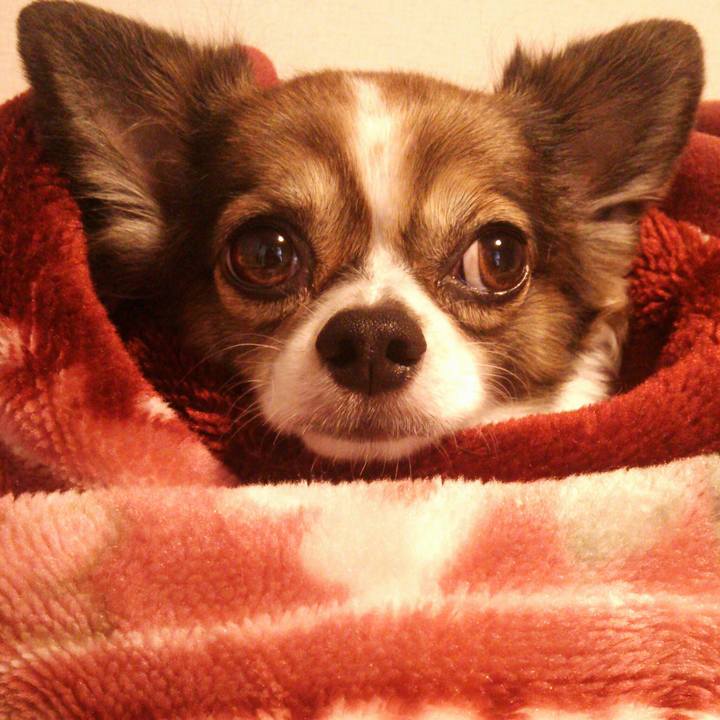 Bd813f3c cb6c 43c9 a555 3e519fafad1d