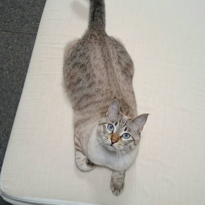 Bd82464d d511 4dfc 8408 74cfc360b13f