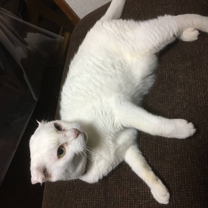 Bd8282bb d0e7 4509 b2ee cc73aa24d68d