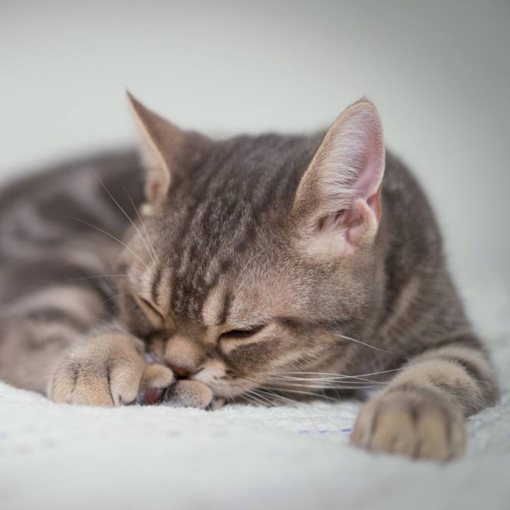 Bd837728 6be4 4acb b81a ee5f012a5c59