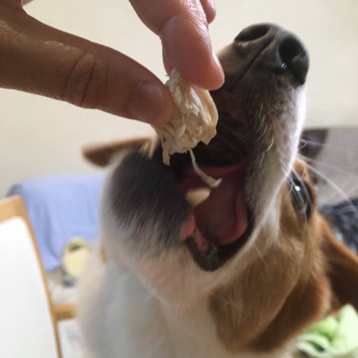 Bd83a5a5 76f5 4a17 a096 4de2228a02a2