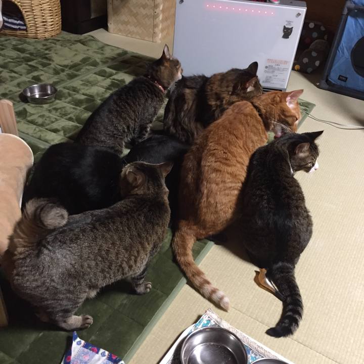 Bd840d1b 987c 4653 8c50 a014259cd551