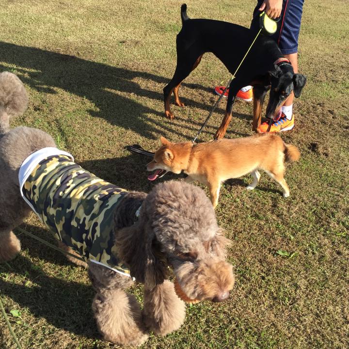 Bd841819 1e8a 4a1e a320 f69444dff5c1