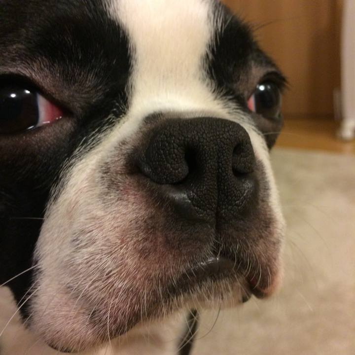 Bd842657 03e4 470e a8b6 bc0c1c0f0a86