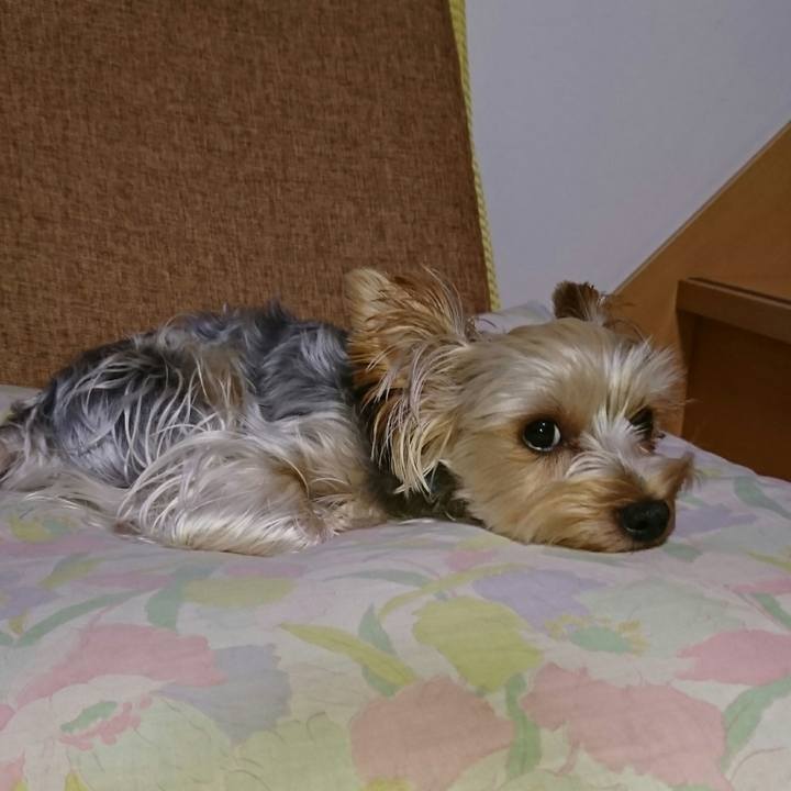 Bd84e13c d26d 43f6 89e9 3a1206a1b31a