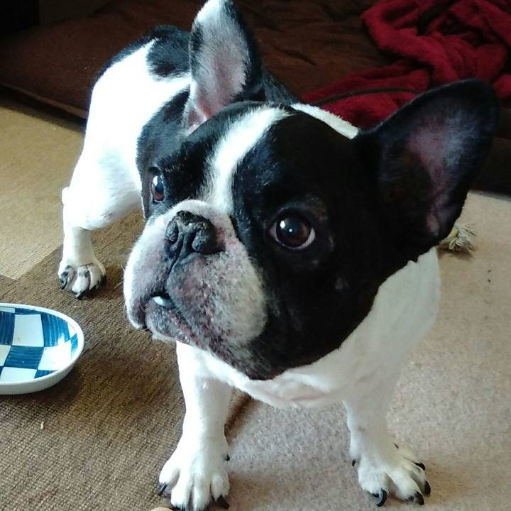 Bd853401 8f8c 41be a5a8 b1988db917d1