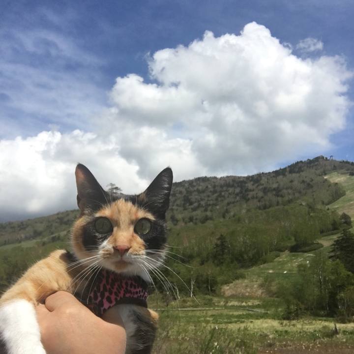 Bd8586d0 86d9 41aa aa3d 362873403560