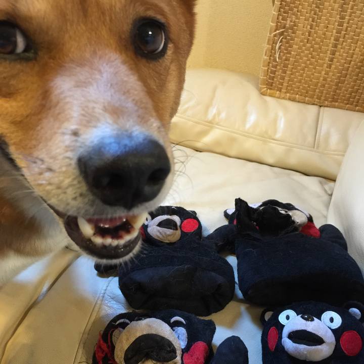 Bd859685 6414 4eb9 b5af a1fae1a4c41a