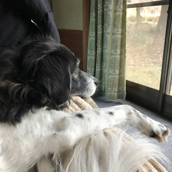 Bd8647d6 3b29 47e4 86f4 df805685f47e