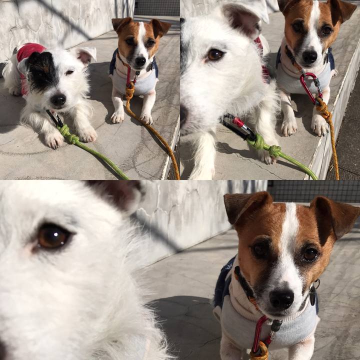 Bd87d219 3eb1 4099 bb7c db989ff0d44f