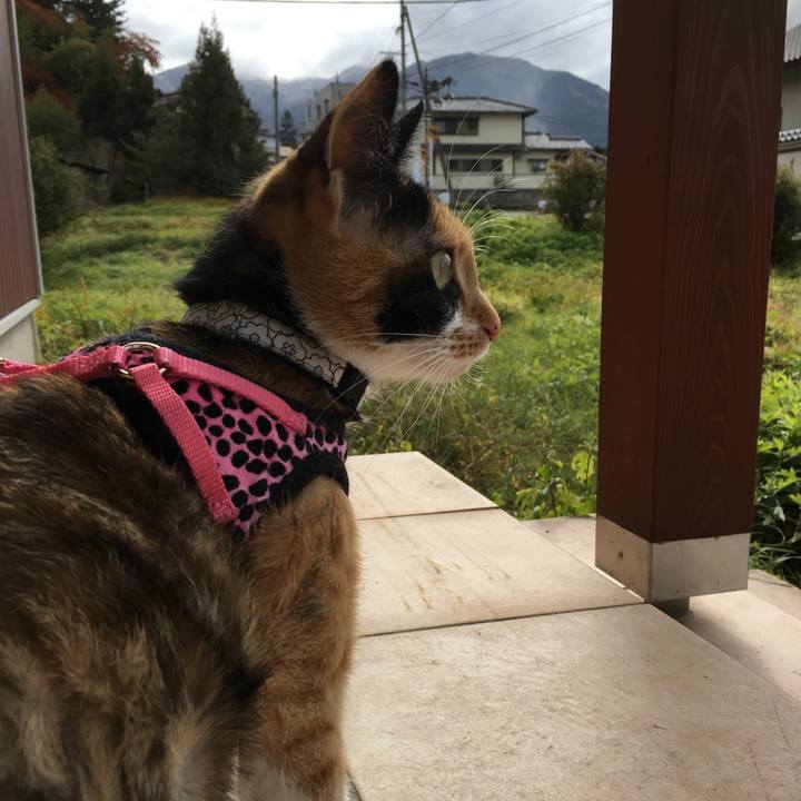 Bd88125b ea26 4cb1 8f3b a33ec481bb30