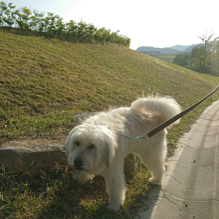 Bd8880cb 7339 4bd6 a20e f6ba9750071a