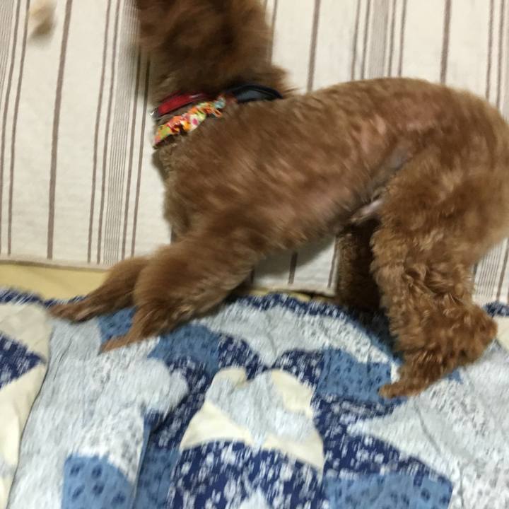 Bd88bc88 8c6e 48c7 81c0 28f27ce2a4e7