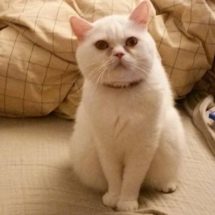 Bd88d781 e22a 47de 816f 6c1c5d514e74