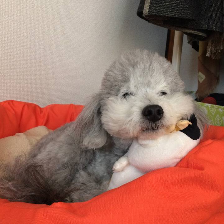 Bd8a0271 85af 477d 981c 5ff98f2fa5ea