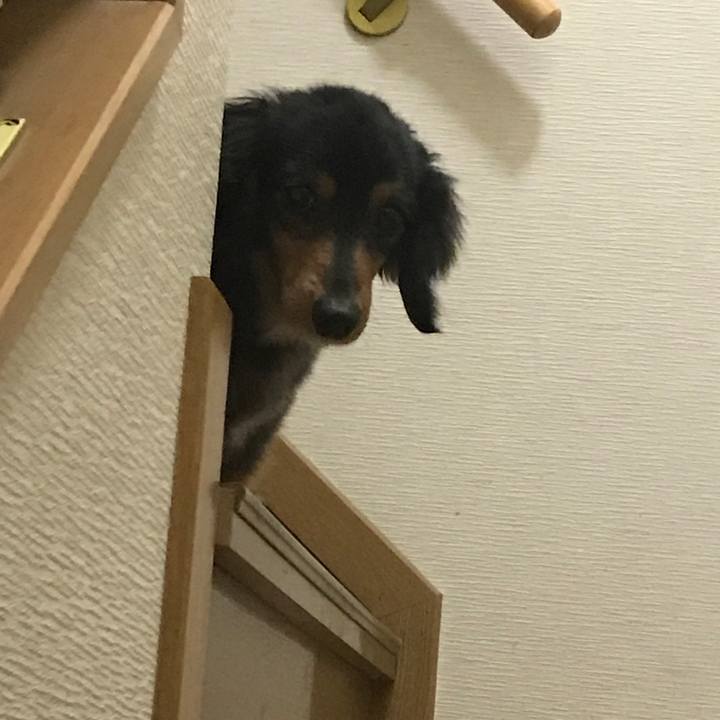 Bd8a4a4b e818 43bb 90f5 7d541b17a3fc