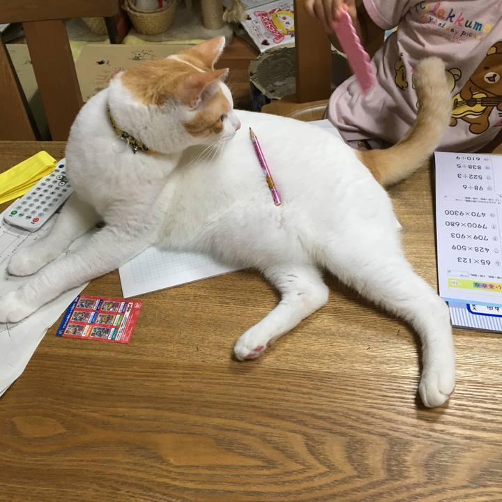 Bd8ab06b 1d65 4a4b b884 3816f8dc541a