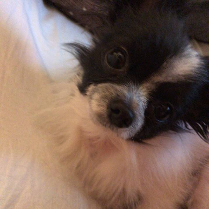 Bd8ae84e 2527 418f 8c4b a9bf81b6eb84