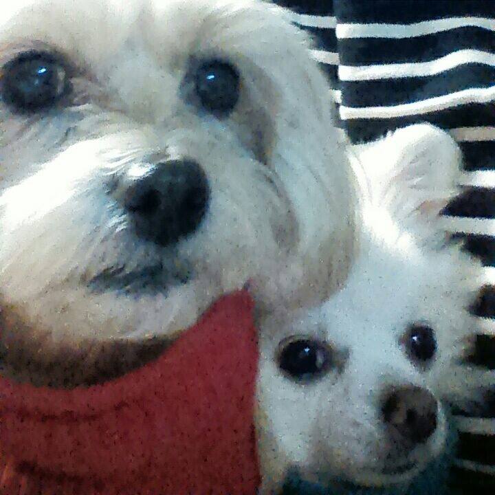 Bd8c2116 6a0d 4eb8 8b0a 3c0c1f6963f5