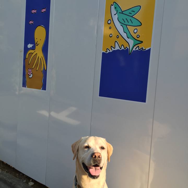 Bd8c30b1 69cf 45f6 9855 669d923ee8ba