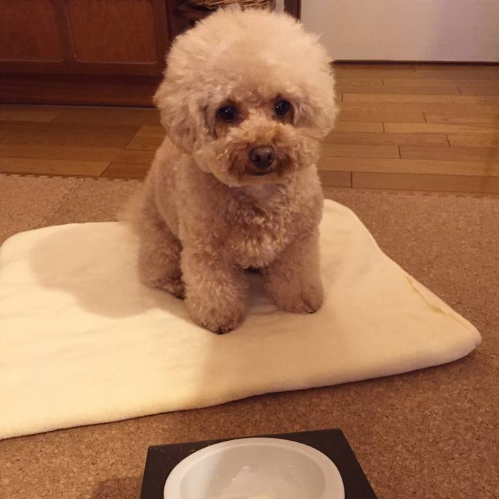 Bd8c5d46 93c4 47af 8012 d9f6dc8edb9b