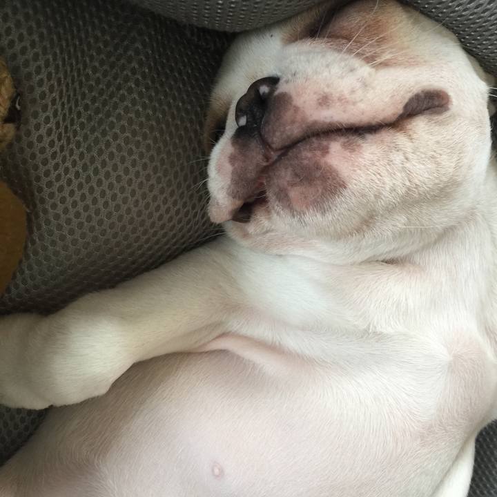 Bd8c5de4 b6f8 48ae a005 f491b0309be0