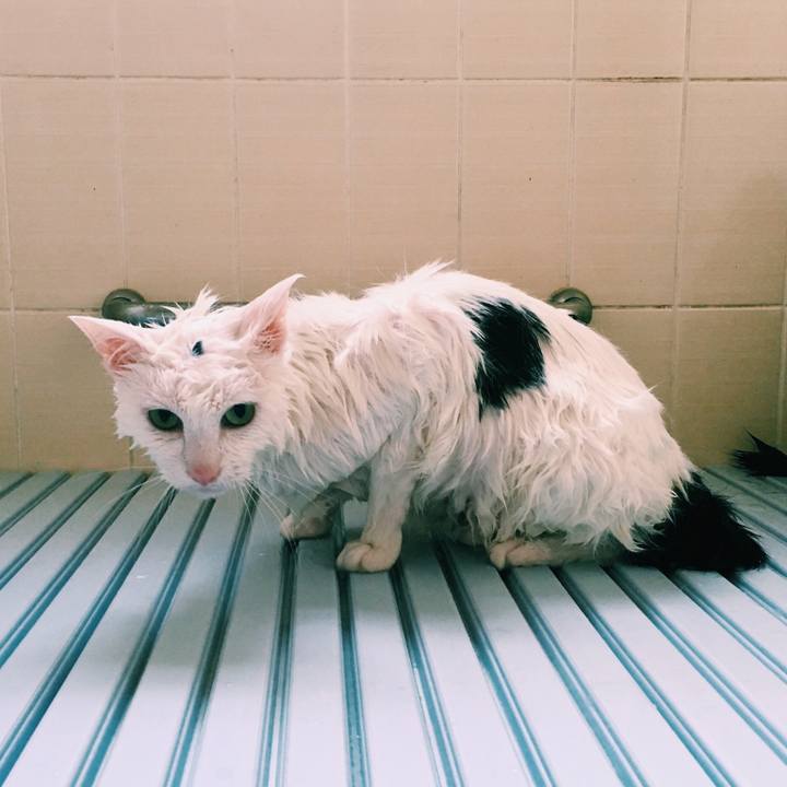 Bd8ca6ab 7fe6 499a bd39 bbb4f748b4e9