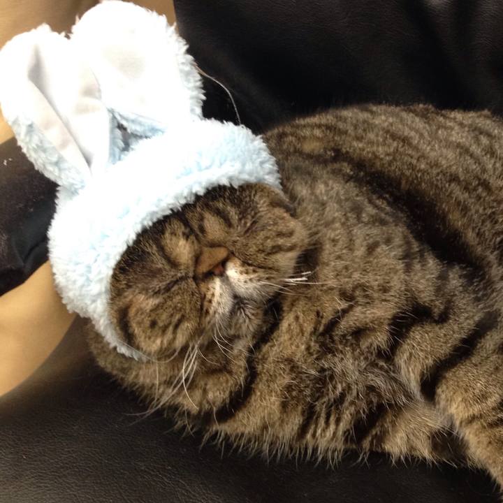 Bd8cbc88 bdf6 45ff 9a5e b435d8fdfa83