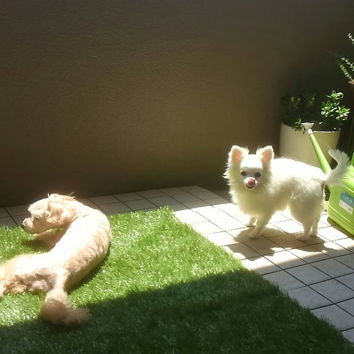 Bd8d5a10 f57b 4d38 adf1 0fdd778cc58b