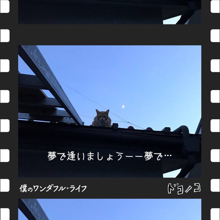 Bd8d858e 9206 4cfb b3e4 52e3fa16a824