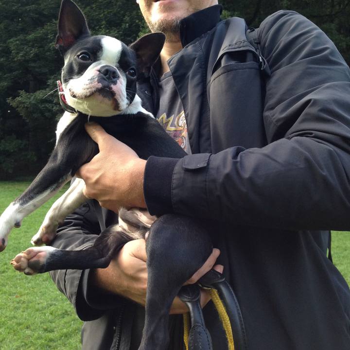 Bd8ed3d1 9986 40f7 9f8f 83e52833aa53