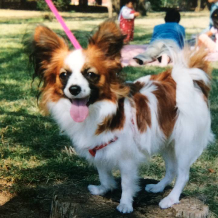 Bd8edda6 6c82 492c b586 ab709c6ead7b