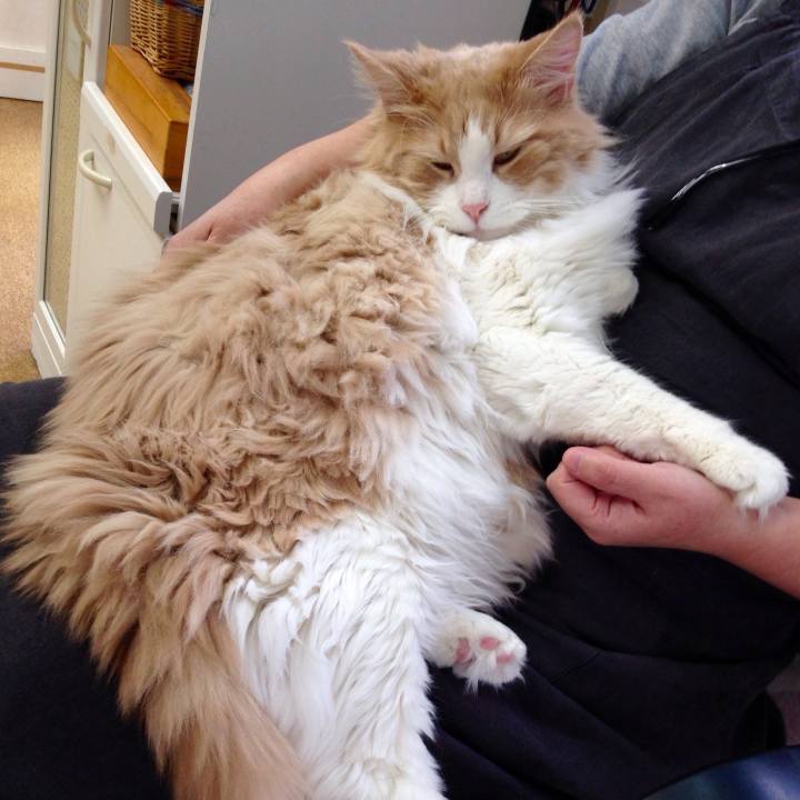 Bd908230 4b09 4f19 950c 1c8132809cd4