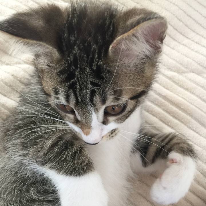 Bd916cdd f741 48a1 8c3e af0440f07414