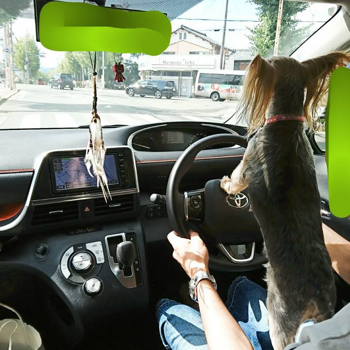 Bd920f50 786e 494a b6e2 f31d861ae49f