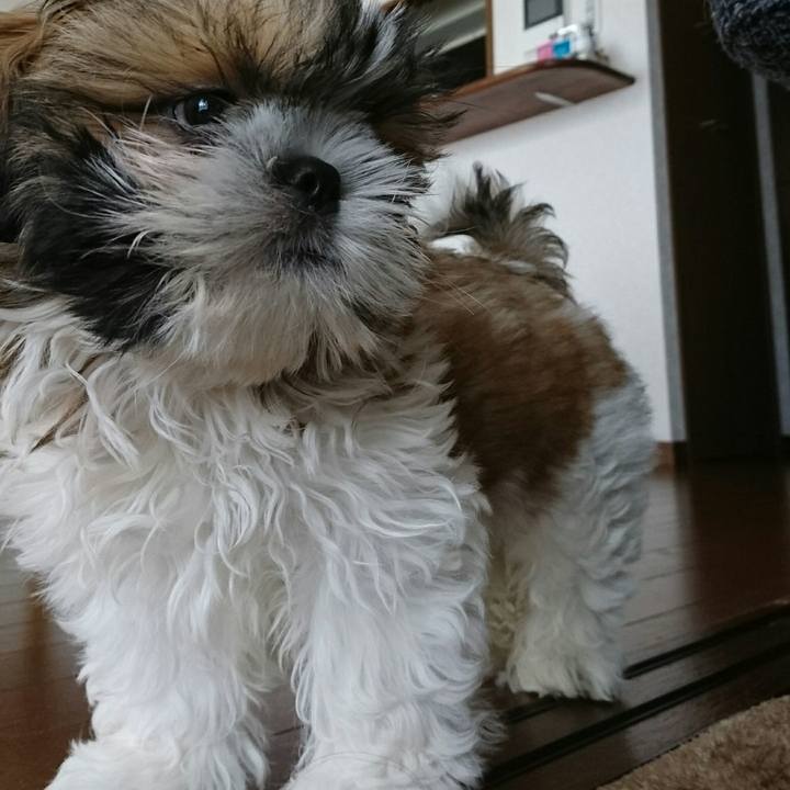 Bd924ae3 9a26 4dc1 b66e 92c197c8533e