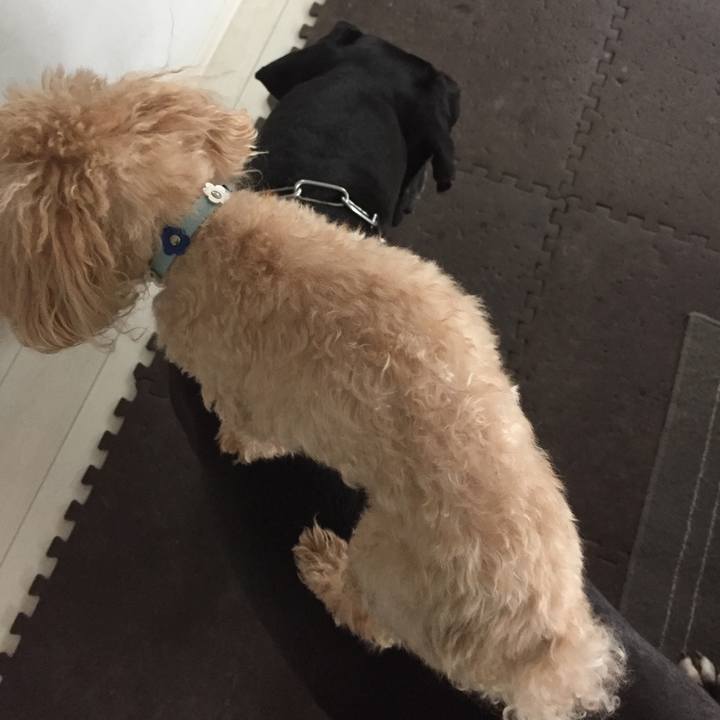 Bd925f30 8ef7 4f45 b6ba b367c97de0d4