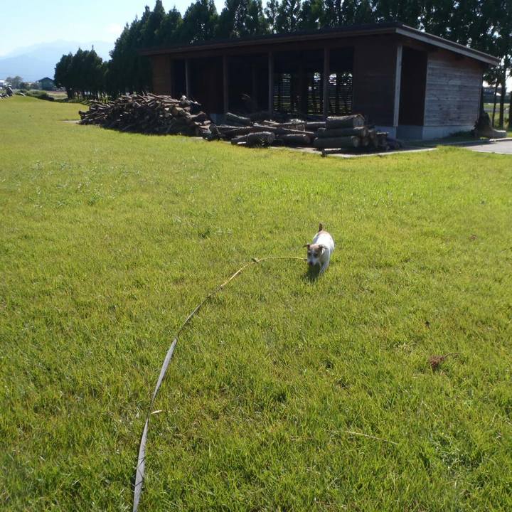 Bd92ea4a 6e58 491c 9b85 d448d1b95e2e